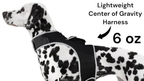 Get Realtime Pet Locations w/ Pet Tracker Mini Cat Dog GPS Tracking Collar Size:L Get Realtime Pet Locations w/ Pet Tracker Mini Cat Dog GPS Tracking Collar Size:L